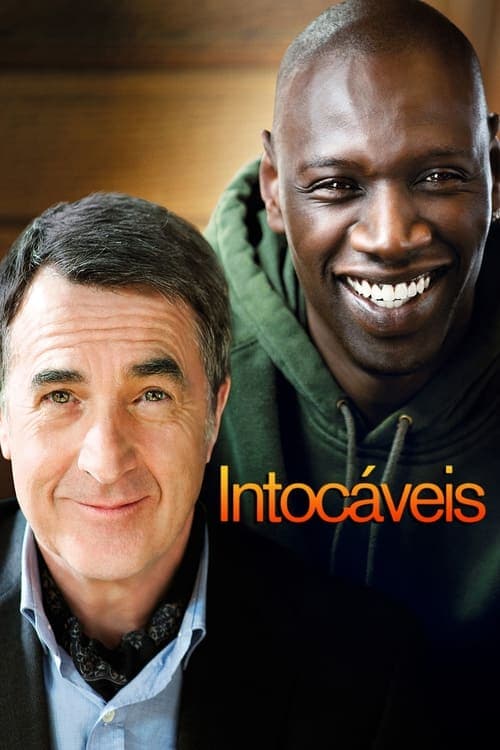 Pôster de Intocáveis