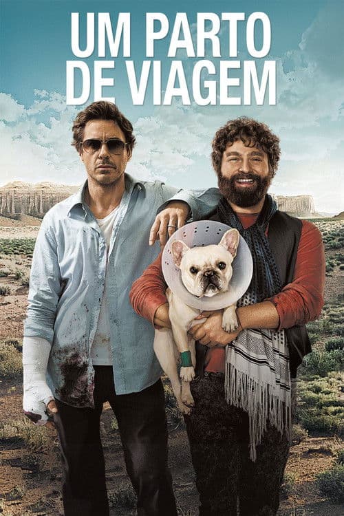 Pôster de Um Parto de Viagem